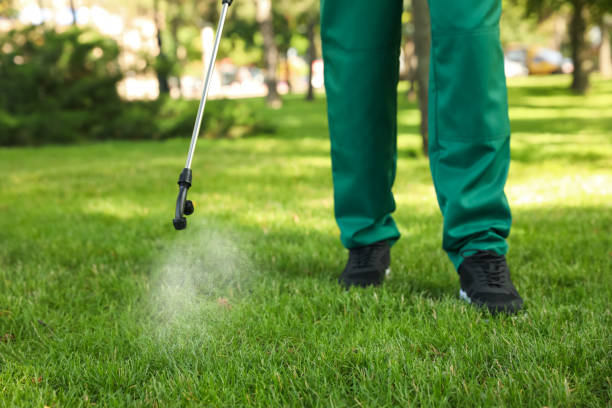 Best Rodent Control Near Me  in San Juan Pistrano, CA