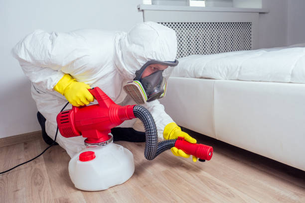 Reliable San Juan Capistrano, CA Pest Control Solutions