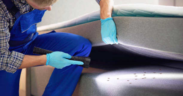 Best Cockroach Control Services  in San Juan Pistrano, CA