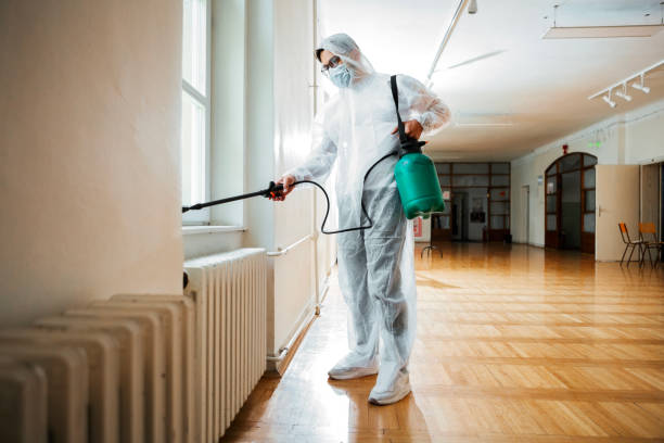Best Bed Bug Extermination  in San Juan Pistrano, CA